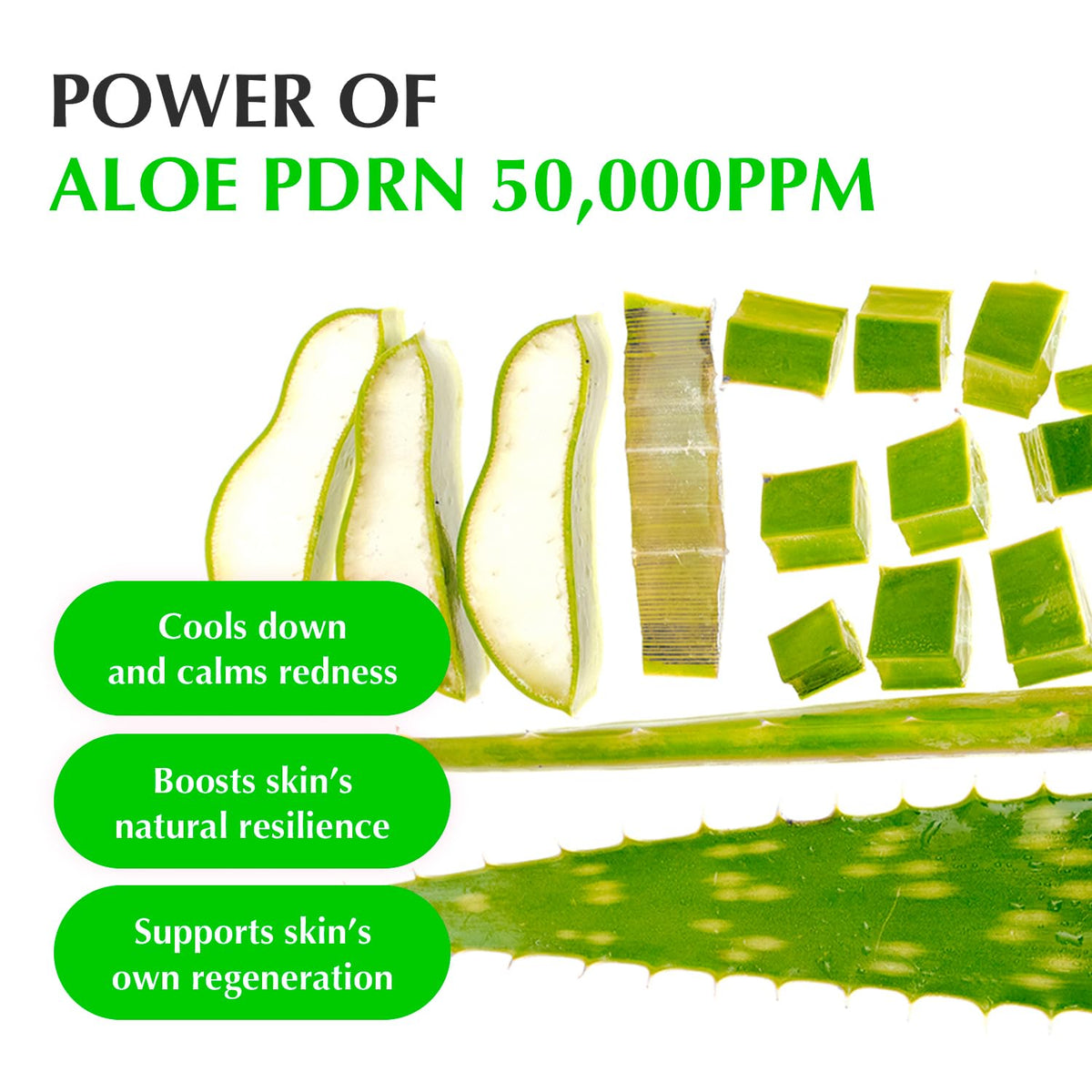 Eqqualberry - Aloe PDRN Calming Smoothie Serum